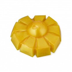 You Are My Sunshine Shower Jelly
